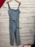 Free people Denim overalls